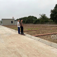 Chuẩn Bị Ra Mắt 10 Lô F0 Giá Chỉ Từ 3Xx Triệu/Lô - Ngay Trung Tâm Xã Kỳ Sơn (Ninh Sơn)