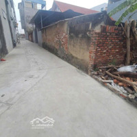 Bán Lô Đất 85M2 Full Thổ Cư Tại Bạch Đa, Kim Hoa, Mê Linh, Hà Nội