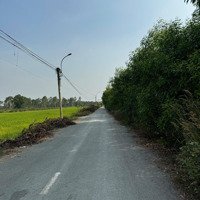 Bán Đất Tại Xuân Thới Sơn, 38 Tỷ, 10,700M2, Hướng Đông, Pháp Lý Đầy Đủ