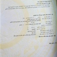 - Bán Lô Góc Đường 2 Làn Trần Thánh Tông Sơn Trà P.nại Hiên Đông