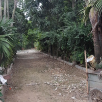 Cho Thuê 1540M2 Đất Làm Nhà Xưởng, Hiện Đã Có Trục Đường Xe Trọng Tải Lớn Vào Giữa Khu Đất