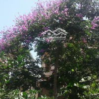 Cho Thuê 1540M2 Đất Làm Nhà Xưởng, Hiện Đã Có Trục Đường Xe Trọng Tải Lớn Vào Giữa Khu Đất