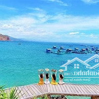 Chỉ Từ 200 Triệu Sở Hữu Ngay Căn Hộ Hạng Sang Mặt Biển Sổ Đỏ Vĩnh Viễn Nằm Ngay Lõi Phố Cổ Quy Nhơn