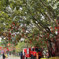 Nhà Mặt Tiền Núi Thành, Hải Châu, Đà Nẵng.