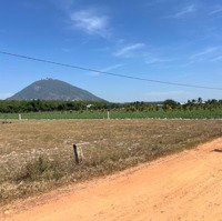 Cần Bán Gấp Lô Đất View Núi 200M2 Ở Xã Phan, Dương Minh Châu, Tây Ninh Giá Bán 399 Triệu. Có Sh