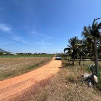 Cần Bán Gấp Lô Đất View Núi 200M2 Ở Xã Phan, Dương Minh Châu, Tây Ninh Giá Bán 399 Triệu. Có Sh