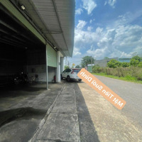 Bán Đất 15M X 20M Tặng Nhà Xưởng Mặt Tiền Đường Suối Dinh Gần Chợ Lộc Hoà, Cách Ql 1A Chỉ 3 Phút