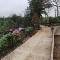 1.9 tỷ sở hữu 527m2 có 2 mặt tiền đường trước và sau, vị trí đắc địa, gần chợ, trường học