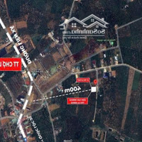 Bán Đất Tặng Nhà Đối Diện Chợ Mới Lộc Đức, 1000M2 Sẵn 200M2 Tc, Giá Chỉ Hơn 800 Triệu