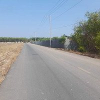 Ngộp! [1062M2] Vuông Vắn 1/ Ql51, Vị Trí Đẹp, Giá Ngộp, Long Phước Long Thành Đồng Nai