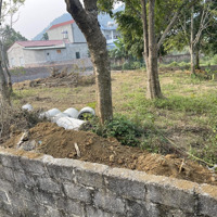Hàng Hiếm Tại Yên Bình, Thạch Thất, Hà Nội, Giá Thỏa Thuận, 402 M2