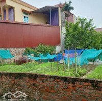 Chính Chủ Bán 171M2 Đất Tại Phụng Thượng, Phúc Thọ