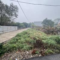 Bán 76m2 đất xóm Chám, Định Trung, Vĩnh Yên.
