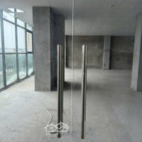Tập Đoàn Hải Phát- Chủ Sở Hữu Cho Thuê Mặt Bằng Tòa Nhà Hhb Tân Tây Đô Làm Văn Phòng/Dịch Vụ Giá Rẻ