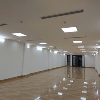 Tôi Cần Cho Thuê Nhà Mp Đoàn Thị Điểm, Đđ 180M, 9 Tầng, Mặt Tiền 7M, Nhà Mới, Pccc Đầy Đủ Giá 249 Triệu