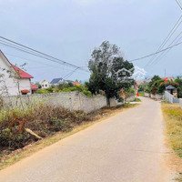 Đất Rộng Đầu Tư Giá Rẻ Tại Chu Điện Lục Nam Ngay Đồi Ngô Chỉ 800 Triệu