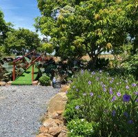 Bán Farm Siêu Đẹp 1.5 Ha Tại Diên Khánh Giá Chỉ Vài Trăm Nghìn/M2 Thích Hợp Mua Nghỉ Dưỡng