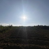 Bán Đất Rẫy Tại Xã Ninh Thượng, Ninh Hòa, Khánh Hòa