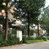 Biệt Thự Đơn Lập The Phoenix Garden - Dự Án Kế Cận Vin Đan Phượng Mà Giá Chỉ Bằng 1/3 Vin