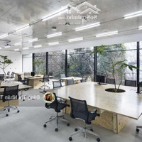 Cho Thuê Văn Phòng Mini Giá Bán 5 Triệu Tại Toà Nhà 3 Nguyễn Văn Đậu P5 Phú Nhuận. Ms Tâm 0932,723,936