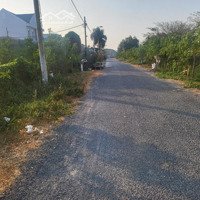 Bán Đất Tại Đê Bao Rạch Gia, Tân Quý Tây, Bình Chánh, 3,45 Tỷ, 179,5 M2