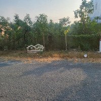 Bán Đất Tại Đê Bao Rạch Gia, Tân Quý Tây, Bình Chánh, 3,45 Tỷ, 179,5 M2