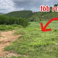 Bán 1153,6M2 Đất Vùng Ven Giá Rẻ, Sẵn 800M2 Thổ.