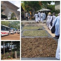 Cần Tìm Đối Tác Hợp Tác Kinh Doanh Góp Mặt Bằng, Chia Sẻ Lợi Nhuận