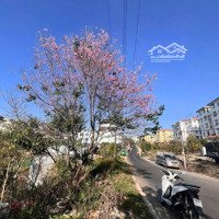 Đất Mặt Tiền Tô Vĩnh Diện Trước Mặt 5 Toà Chung Cư Khu Quy Hoạch Ngô Quyền