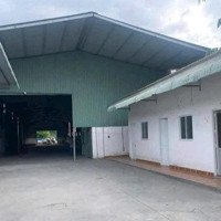 Cho Thuê Xưởng 1000M2 Tại Khánh Bình Tân Uyên Bình Dương