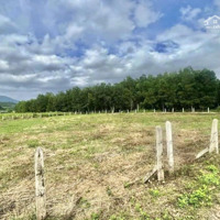Lô Góc 2000M2 Trung Tâm Diên Thọ, Diên Khánh Giá Chỉ 1,4 Triệu/M2