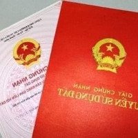 Siêu Phẩm Xã Xuân Đám - Tt Cát Bà - Huyện Cát Hải - Tp Hải Phòng