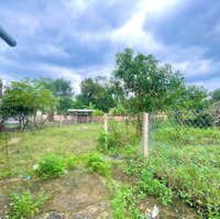Bán Nhanh Lô Đất Diên Thọ Giáp Ranh Với Diên Phước, Gần Tiểu Đoàn Quân Sự 460. Đường Nhựa Tận Nơi