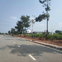 Bán Lô Đất 150M2 Đường N13, Mỹ Phước 4, Bến Cát, Bình Dương, Giá Bán 1,8 Tỷ