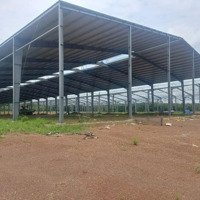 Bán Nhà Xưởng Cho Đầu Tư Tại Xã Vĩnh Tân, Bd. Xưởng Mới Xây, Pccc Tự Động