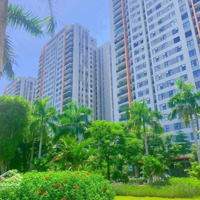 Căn Hộ 58M2, 68M2 The K Park Văn Phú, Hà Đông