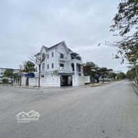 Đầu Xuân Năm Mới Chí Chủ Ra Hàng Lô Làn 2 Vườn Sen Từ Sơn Đẹp Không Tỳ Vết