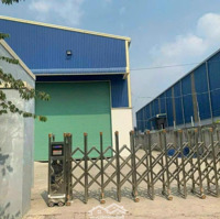 Cho Thuê Kho Xưởng Mới - Kcn Tân Đức, Tân Đô,Hải Sơn- Đức Hòa, Long An, Pccc Tự Động
