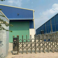 Cho Thuê Kho Xưởng Mới - Kcn Tân Đức, Tân Đô, Hải Sơn - Đức Hòa, Long An, Pccc Tự Động