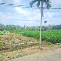 Đất Full Thổ Cư Diên Phước Diên Khánh Giá Đầu Tư Chỉ 573 Triệu