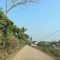 Bán Đất Nhà Vườn Tuân Lộ Nhân Mỹ Tân Lạc Hòa Bình, Đất Bám Hồ Tự Nhiên,Gần Tt Mãn Đức,1.2Ha,3 Tỷ Dư