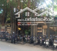 Cần Cho Thuê Gấp Biệt Thự Nguyễn Văn Đậu, Phú Nhuận 12X25M Trệt 1 Lầu . Giá Bán 55 Triệu/Tháng.