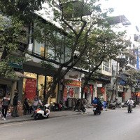 Mặt Bằng Kinh Doanh 296M2X5 Tầng, Áp Mái + Hầm, Mặt Tiền 16M Hàng Gà Hoàn Kiếm, Có Pccc, Tháng Máy