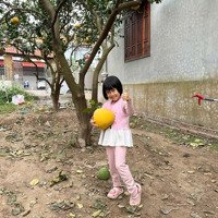 Bán Đất Tại Tráng Việt, Mê Linh, Hà Nội, Giá Cực Chất 5,112 Tỷ, Diện Tích 113,6 M2 - Full Thổ Cư