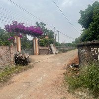 Cơ Hội Đầu Tư Đất Nền Trung Tâm Thị Xã Chũ Bắc Giang