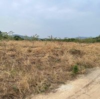 Cơ Hội Đầu Tư Đất Nền Trung Tâm Thị Xã Chũ Bắc Giang