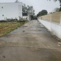 Cần Bán Lô Đất Xã Nghi Liên, Tp Vinh