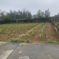 Cần Bán Lô Đất Xã Nghi Liên, Tp Vinh