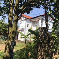 Bán Đất 227M² Full Thổ Cư Ngay Sát Trục Đường Ubnd Xã, Cách 10M Sổ Đỏ Chính Chủ