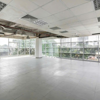 Cho Thuê Văn Phòng Hạng B 146 Nguyễn Đình Chiểu Quận 3Diện Tích478M2 2 Hầm 14 Tầng Đẹp Và Rẻ Nhất Quận 3